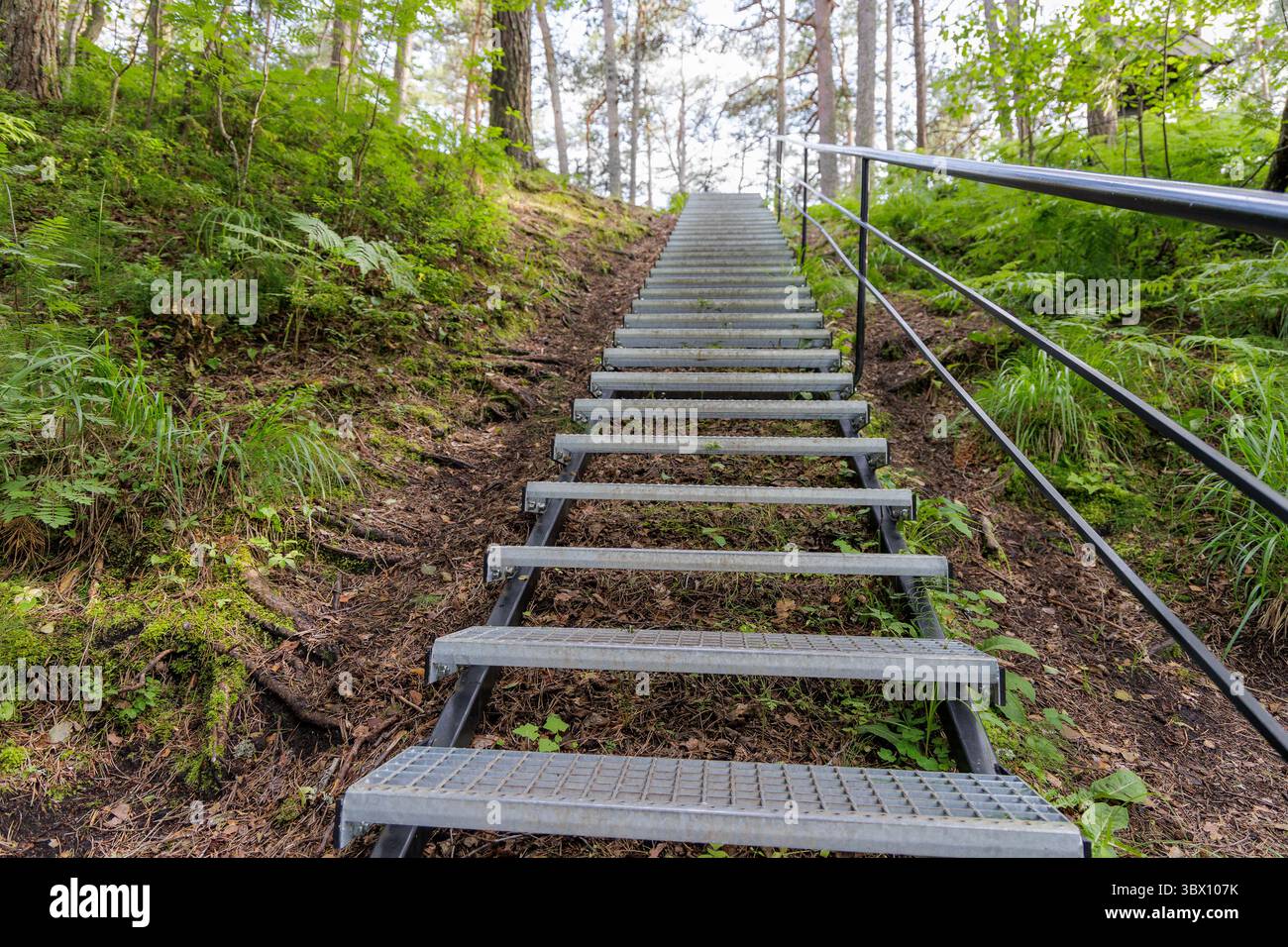 Una lunga e robusta scalinata di metallo sale su una ripida e verdeggiante collina forestale, fornendo accesso e suggerendo un viaggio avventuroso. Foto Stock