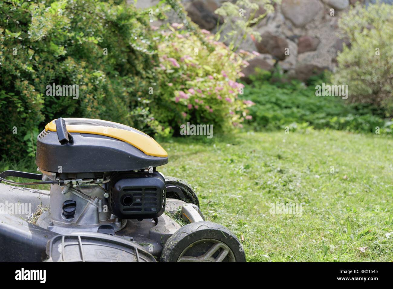 Primo piano di un rasaerba che poggia su erba verde, con cespugli sfocati e un muro di pietra sullo sfondo. Foto Stock