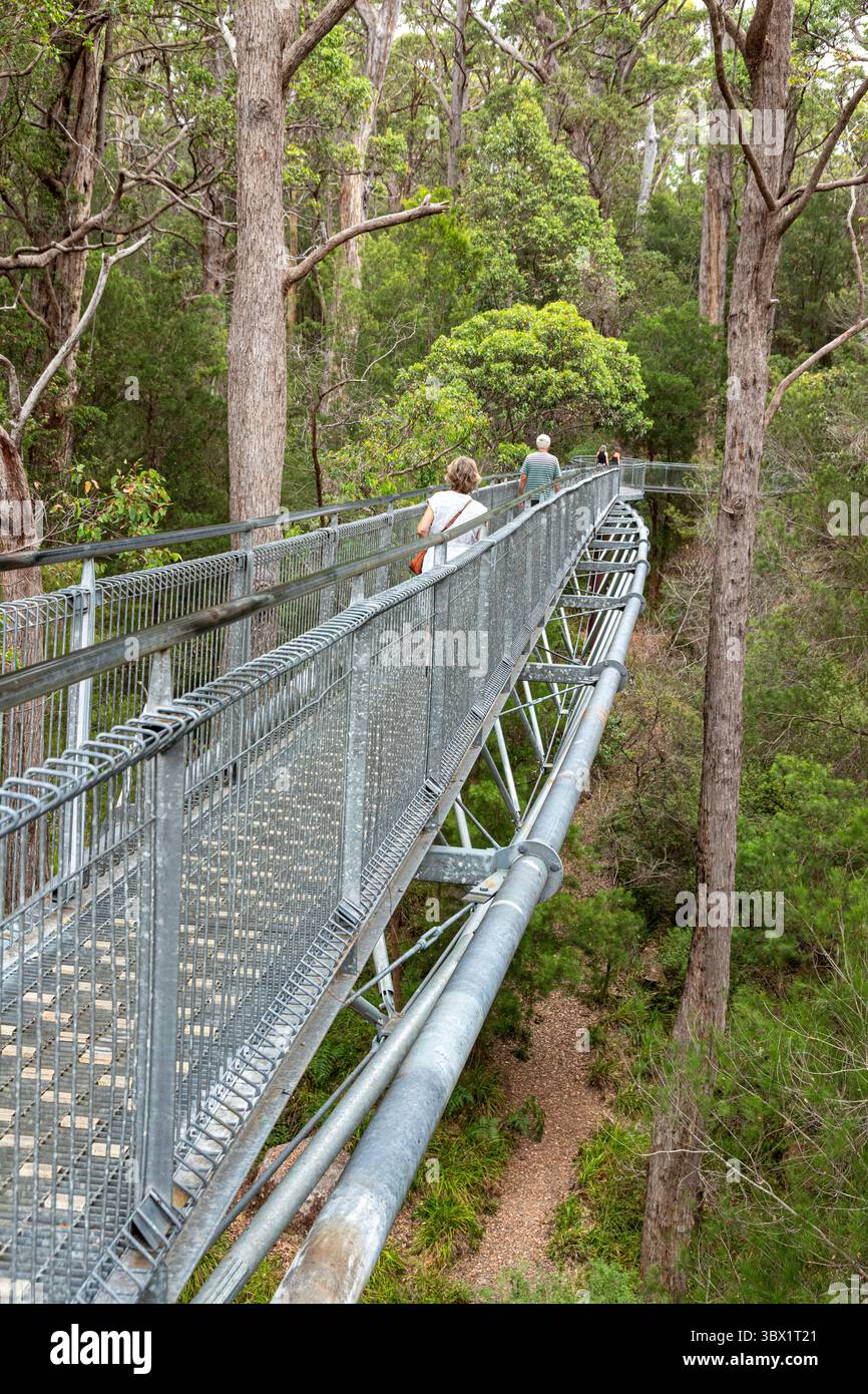 La passeggiata sulla cima dell'albero della Valle dei Giganti a Tingledale nel Parco nazionale Walpole-Nornalup vicino a Walpole nella Contea di Danimarca, Great Southern Washington. Foto Stock