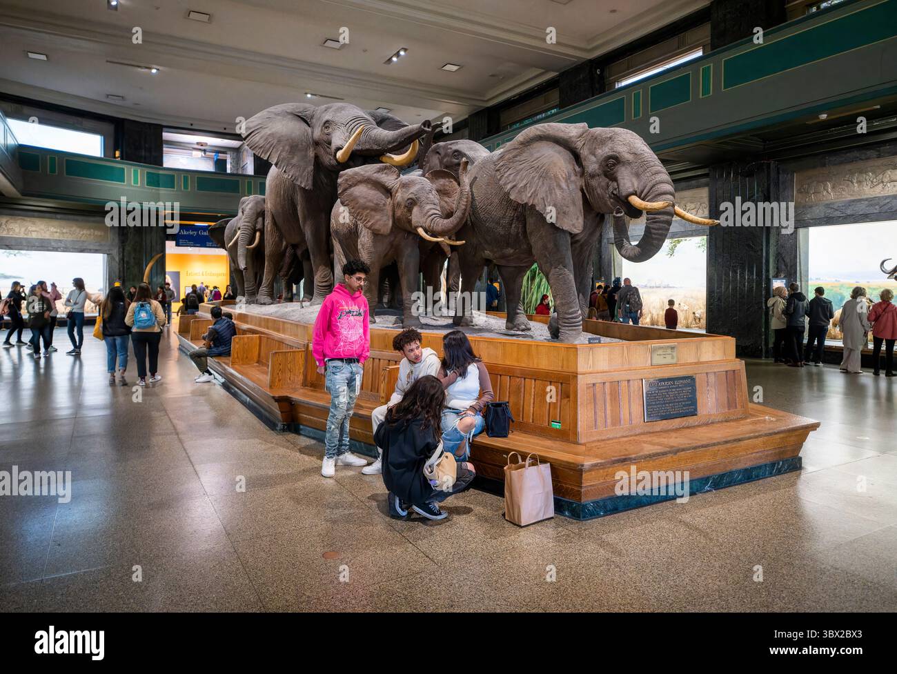 New York, USA - 24 aprile 2023: Vista interna del Museo di storia naturale di New York. Foto Stock