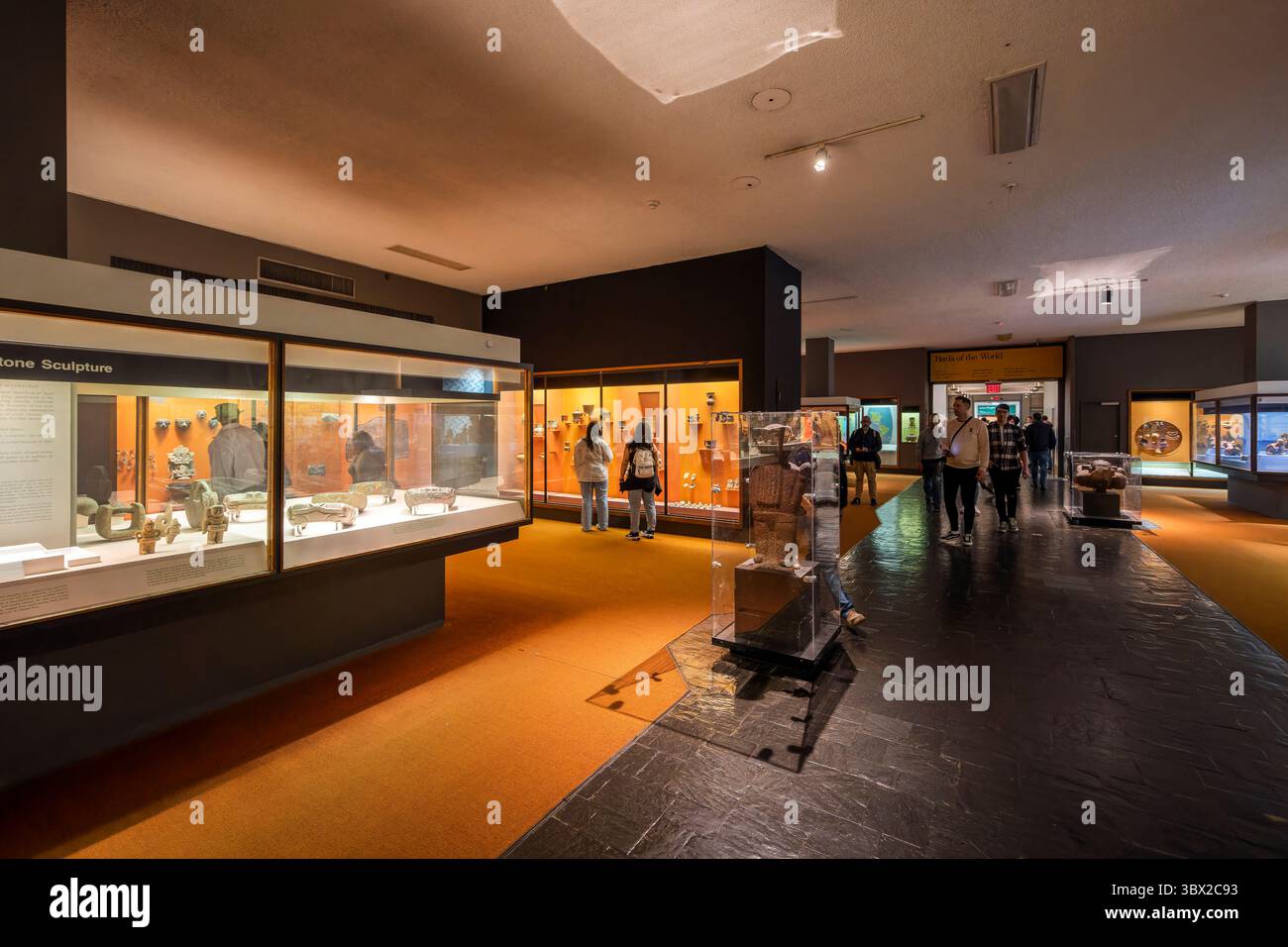 New York, USA - 24 aprile 2023: Vista interna del Museo di storia naturale di New York. Foto Stock