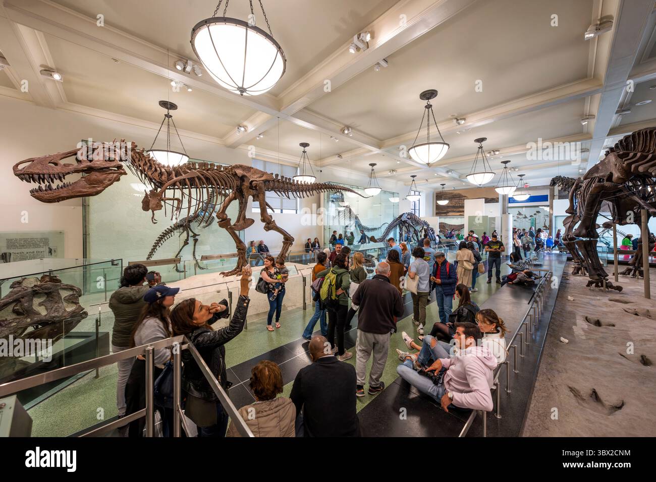 New York, USA - 24 aprile 2023: Vista interna del Museo di storia naturale di New York. Foto Stock