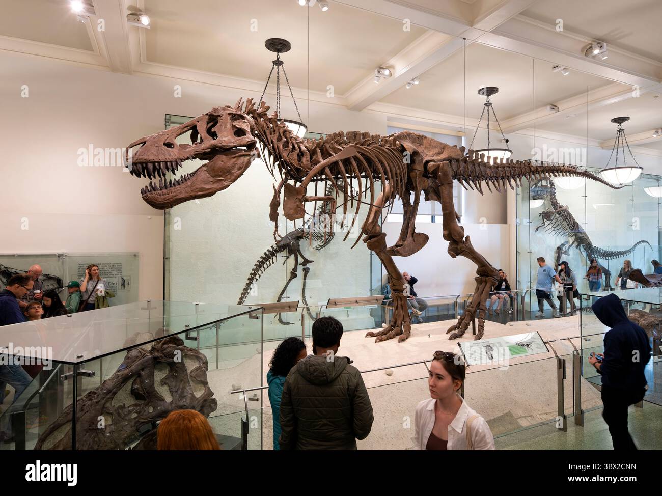 New York, USA - 24 aprile 2023: Vista interna del Museo di storia naturale di New York. Foto Stock