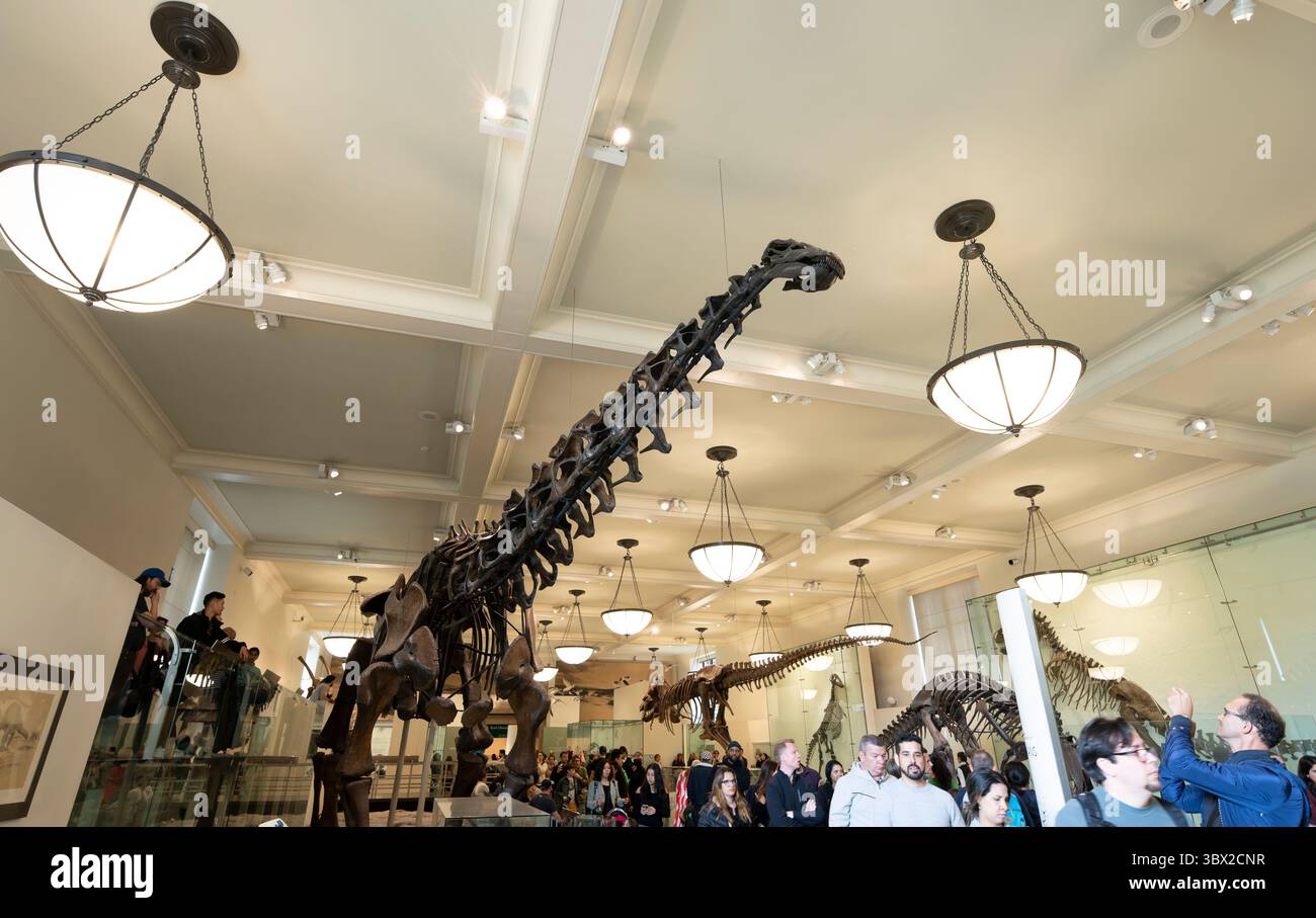 New York, USA - 24 aprile 2023: Vista interna del Museo di storia naturale di New York. Foto Stock