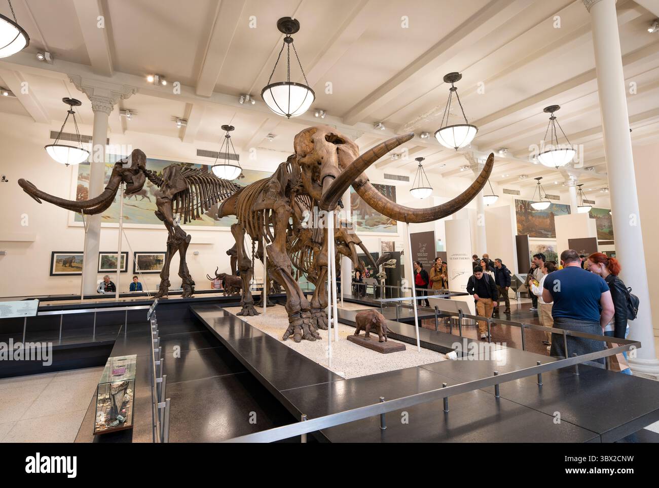New York, USA - 24 aprile 2023: Vista interna del Museo di storia naturale di New York. Foto Stock