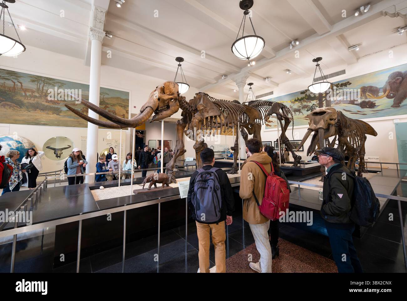 New York, USA - 24 aprile 2023: Vista interna del Museo di storia naturale di New York. Foto Stock