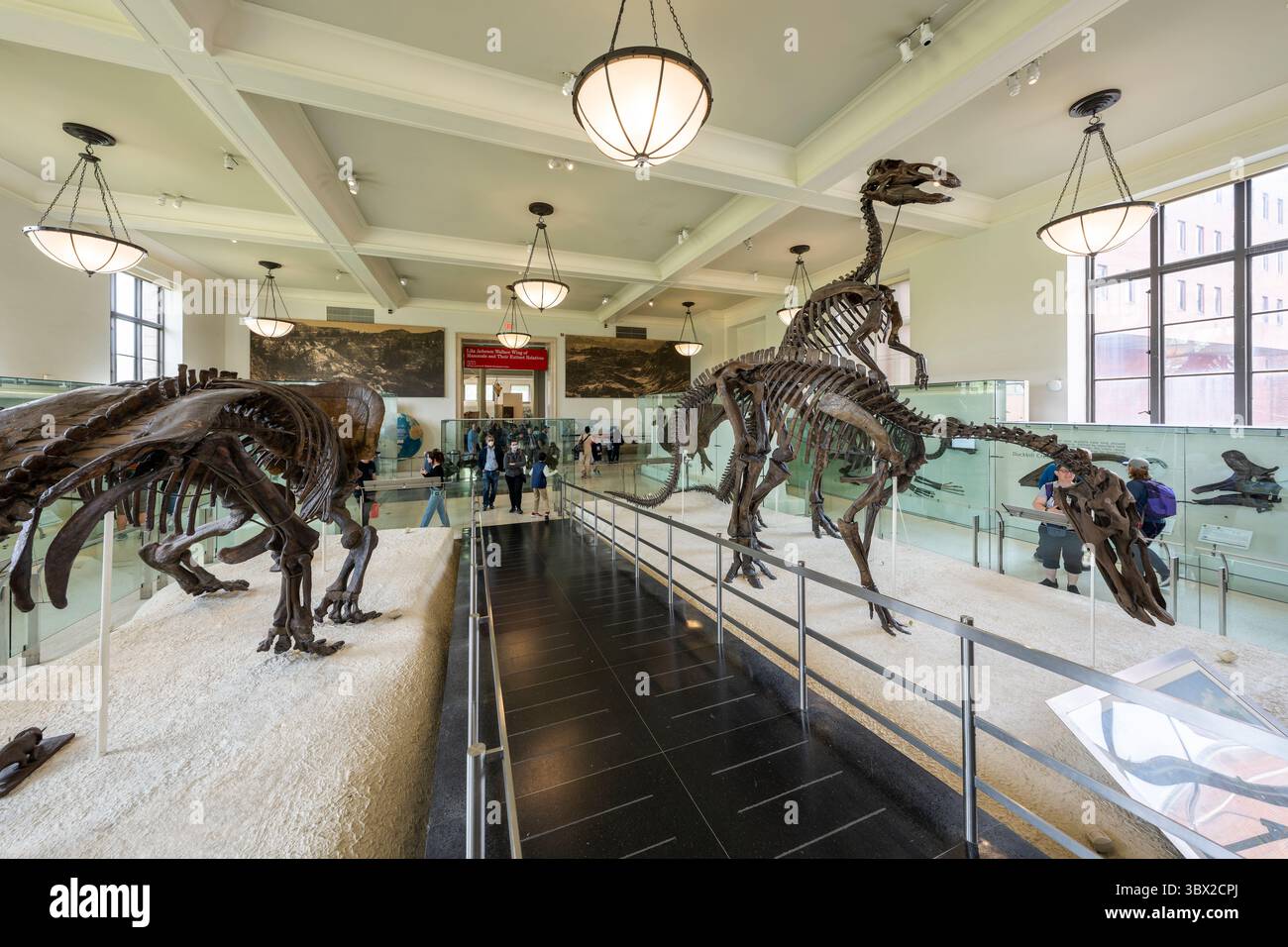 New York, USA - 24 aprile 2023: Vista interna del Museo di storia naturale di New York. Foto Stock