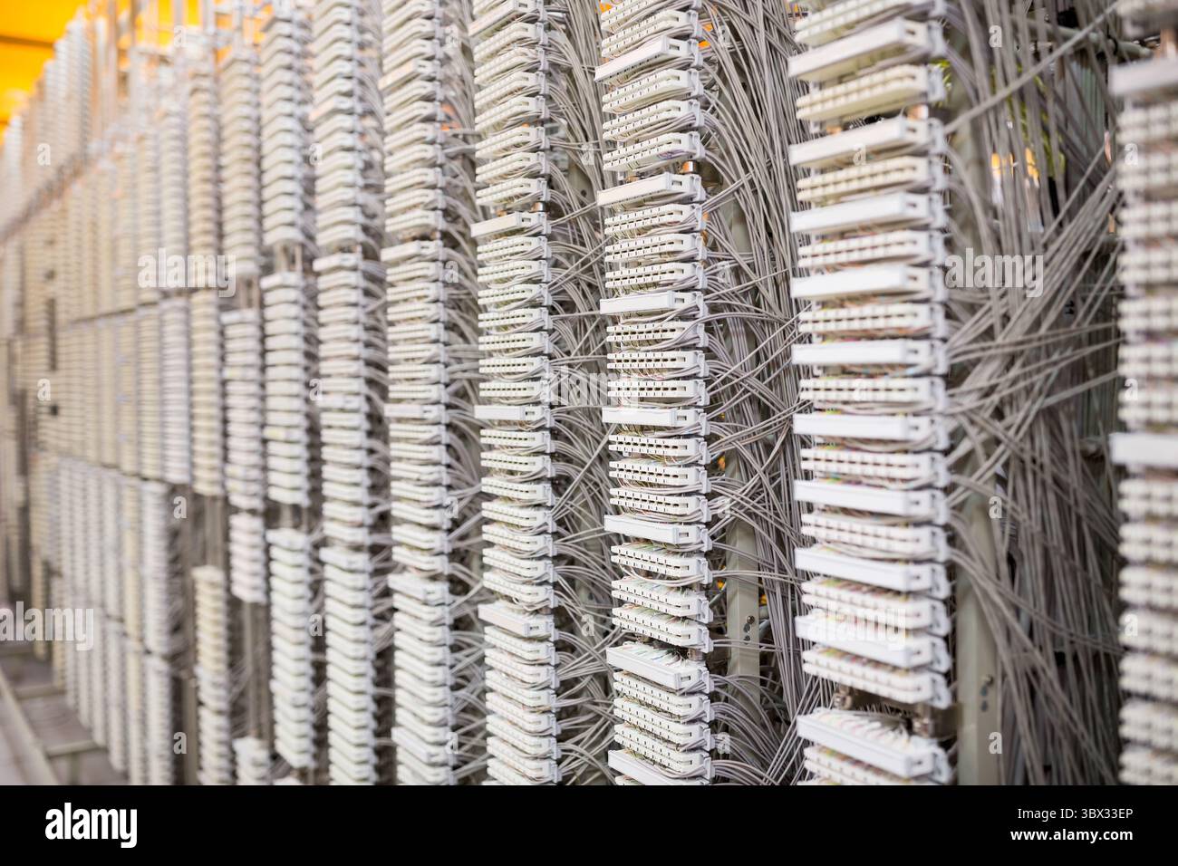 Le file di telai per la distribuzione delle telecomunicazioni mostrano il cablaggio a design piatto con cavi ed etichette in bundle. Tecnologia, infrastruttura, circuiti, connettività Foto Stock