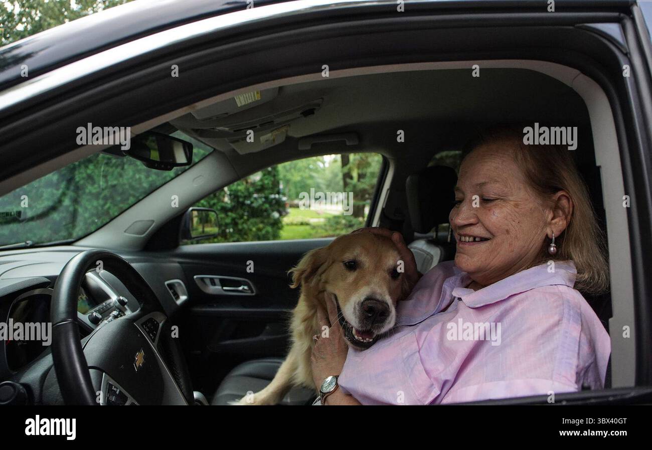 27 agosto 2021: Margie Bauer di Harper Woods all'interno della sua Chevy Equinox del 2015 con il suo cane Liberty il 22 agosto 2021. Bauer ha comprato il veicolo perché sarebbe stato adatto ai cani e i suoi due cani potevano facilmente stare sul sedile posteriore. (Immagine di credito: © Rodney Coleman-Robinson/TNS via ZUMA Press Wire/TNS via ZUMA Press Wire) Foto Stock
