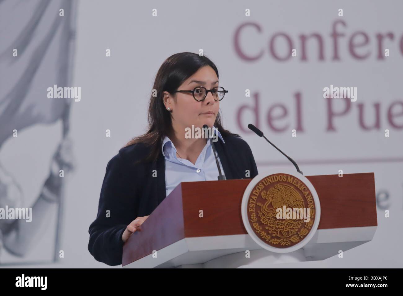 Non esclusivo: Il capo dell'unità di sviluppo produttivo del Ministero dell'economia, Ximena Escobedo Juárez, parla degli investimenti in sette stati Foto Stock