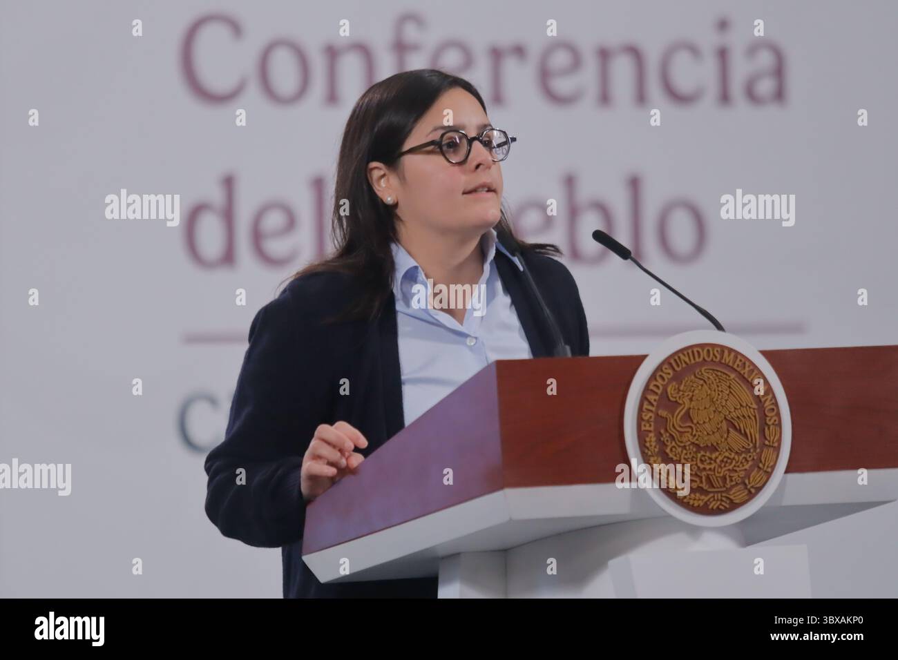 Non esclusivo: Il capo dell'unità di sviluppo produttivo del Ministero dell'economia, Ximena Escobedo Juárez, parla degli investimenti in sette stati Foto Stock