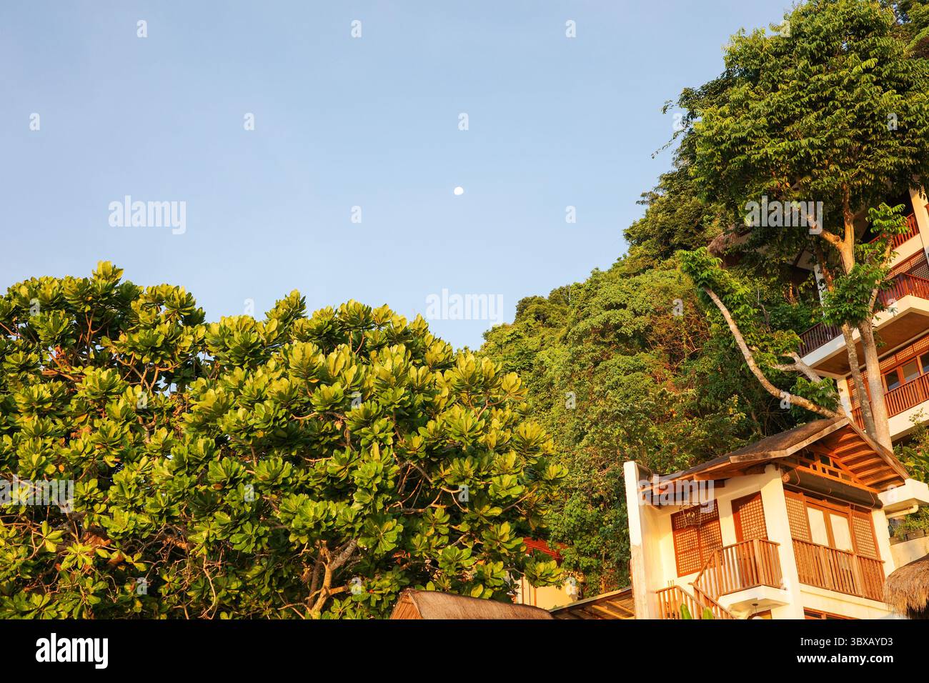 Un bellissimo resort situato di fronte alla spiaggia di Coron, Palawan, Filippine. Circondato da alberi e natura Foto Stock