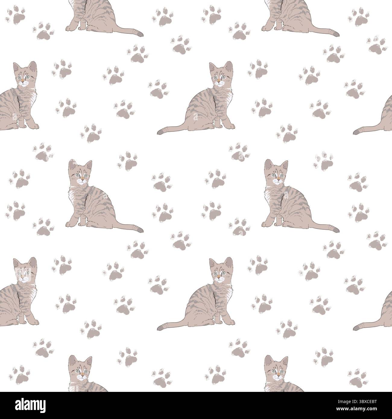 i gattini e le zampe grigi vengono stampati su uno sfondo bianco e pulito Foto Stock