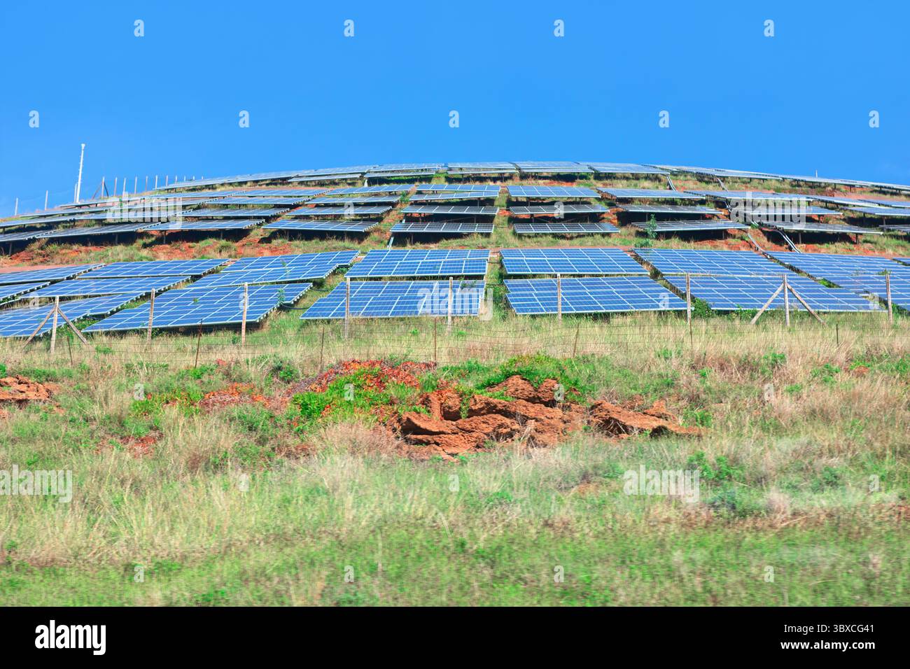 File di pannelli solari si estendono su una collina illuminata dal sole, angolata per catturare la luce del sole. La scena riflette l'impegno per le energie rinnovabili Foto Stock