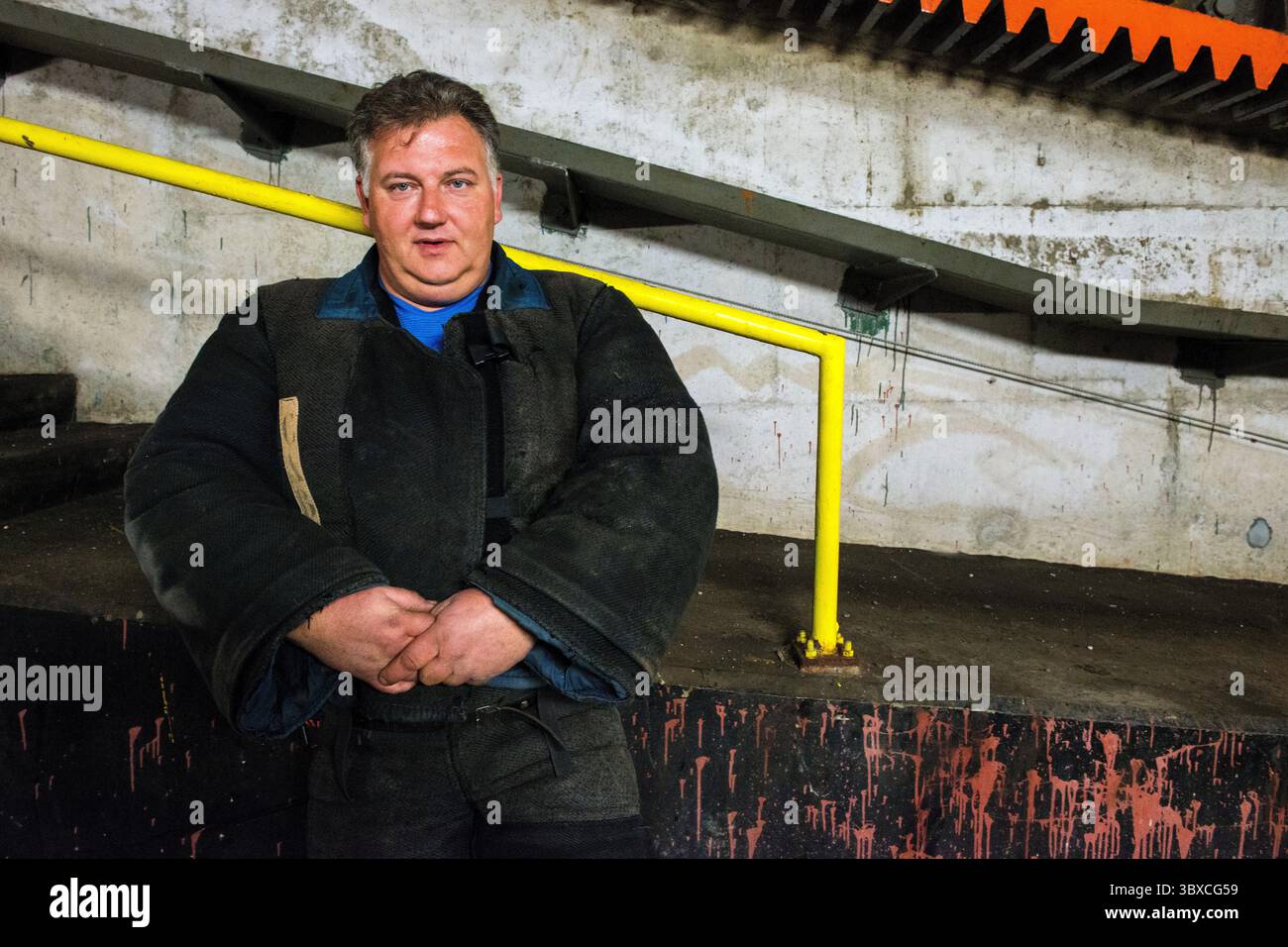 Lavoratore di ruolo maschile e PoliceDogTrainer in attesa di un cane della polizia K9 per attaccarlo e morderlo come parte del suo addestramento all'interno della sala di incisione del ponte Van Brienenoord. Rotterdam, Paesi Bassi. MR=SÌ Foto Stock