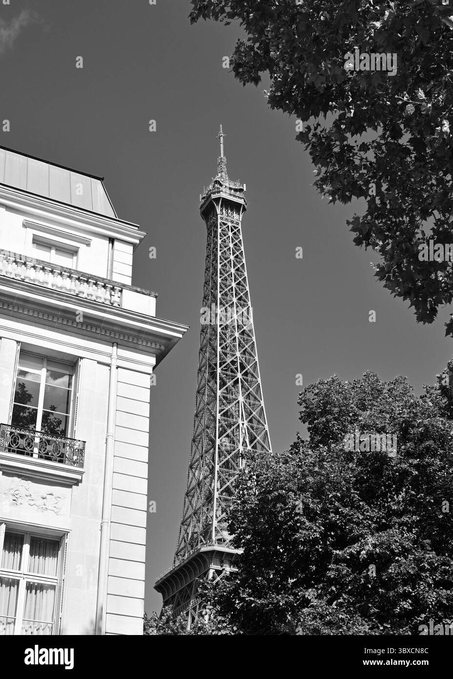 Torre Eiffel, 7° arrondissement, vista attraverso gli alberi e l'edificio architettonico Haussmann. Parigi, Francia, Europa. Foto Stock