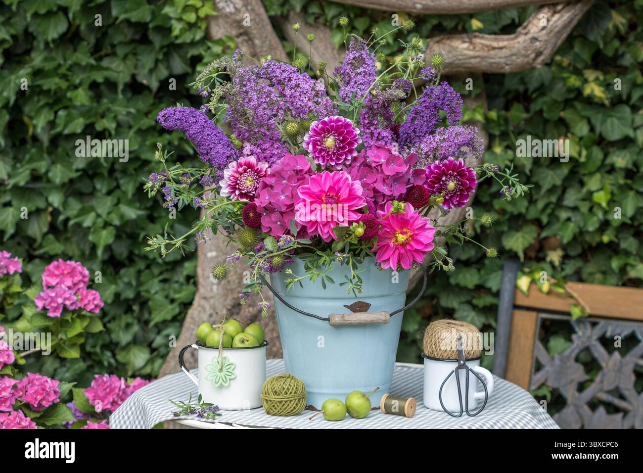 composizione con bouquet di dalie rosa, ortensie in fiore e fiori di cespuglio di farfalle in un vecchio secchio di smalto e con mele Foto Stock