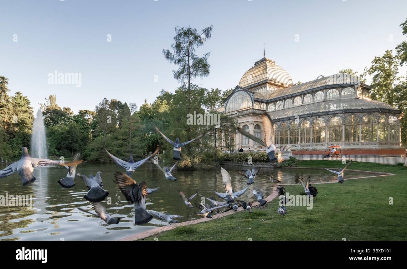 Promozioni per i parchi o Wildlife in Urban Settings. Foto Stock