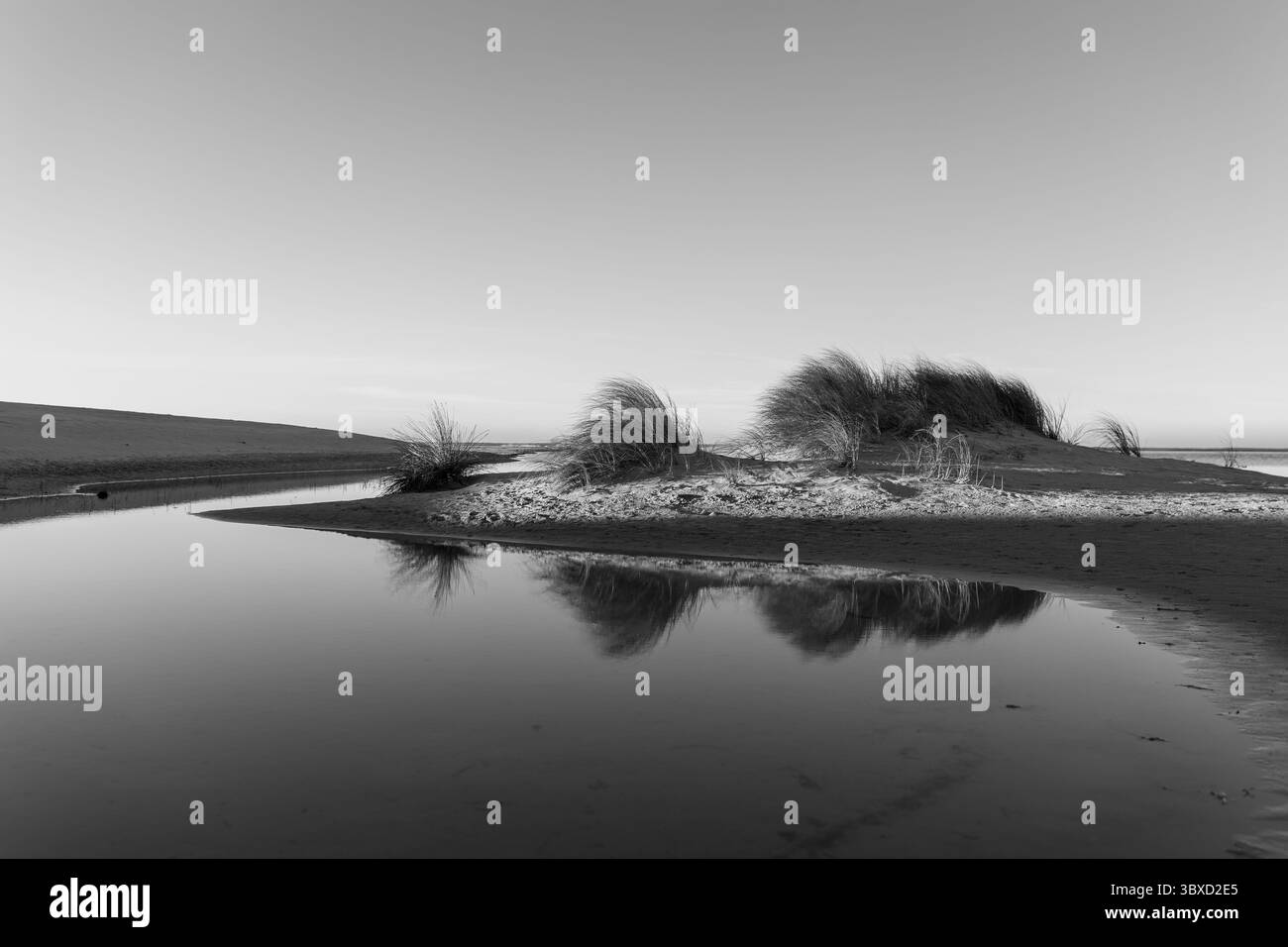 Alba su una spiaggia deserta Foto Stock