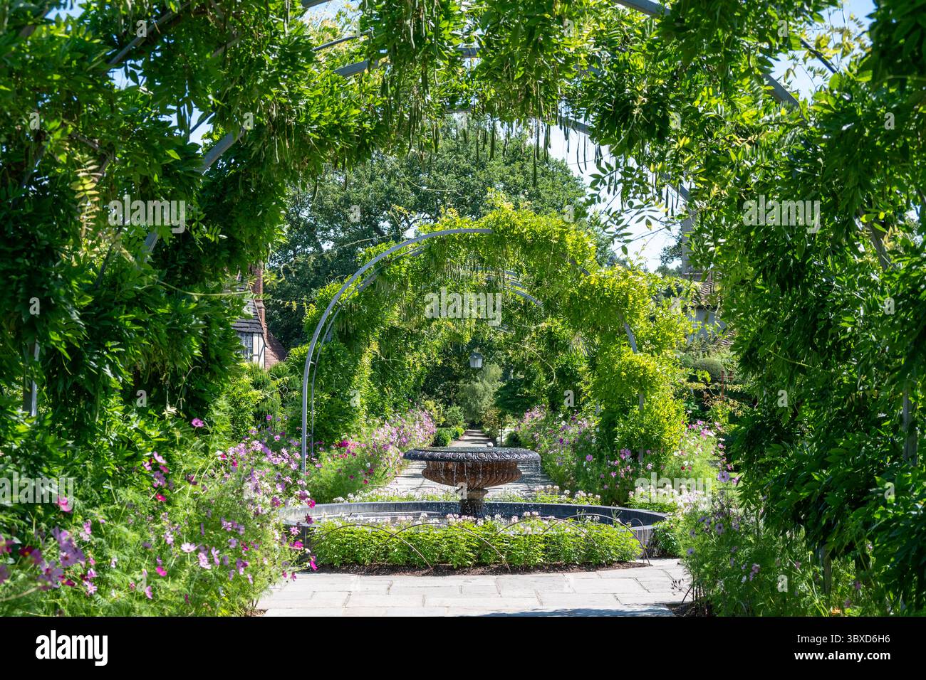 Wisteria Walk, RHS Gardens, Wisley, Surrey, Inghilterra Foto Stock