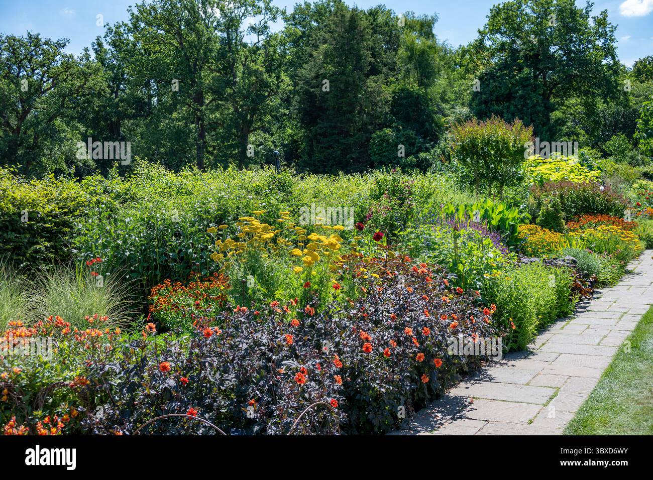 Herbaceous Border, RHS Gardens, Wisley, Surrey, Inghilterra Foto Stock