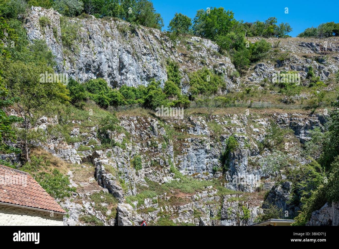 Cheddar Gorge, Cheddar, Somerset, Inghilterra Foto Stock