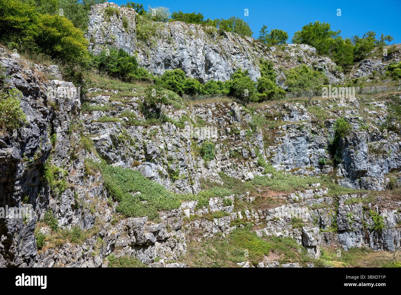 Cheddar Gorge, Cheddar, Somerset, Inghilterra Foto Stock