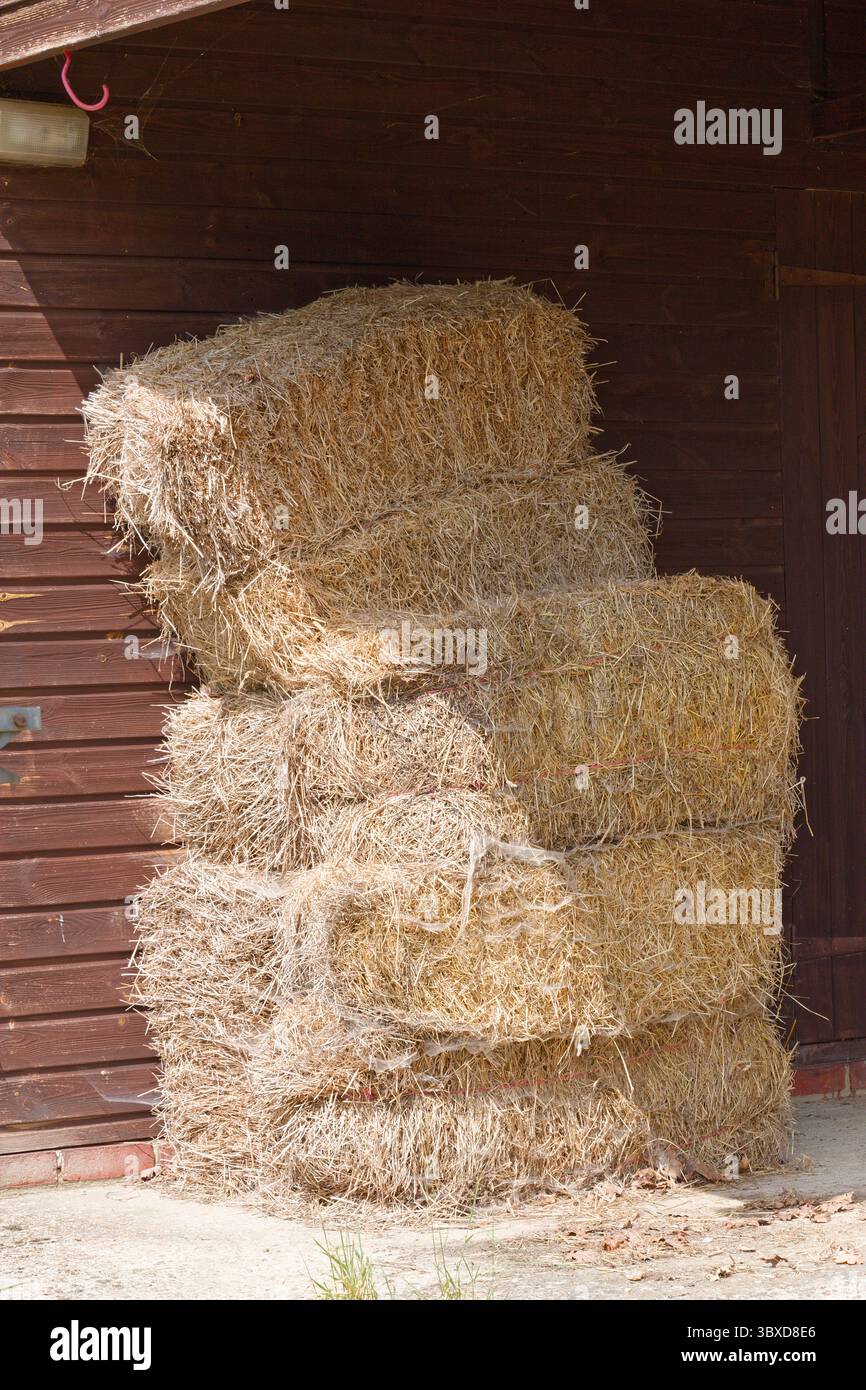 Balle di fieno impilate. Pronto a dare da mangiare ai cavalli e ad altri animali in inverno. Erba secca tagliata in primavera e compressa in balle e legata con spago. Foto Stock