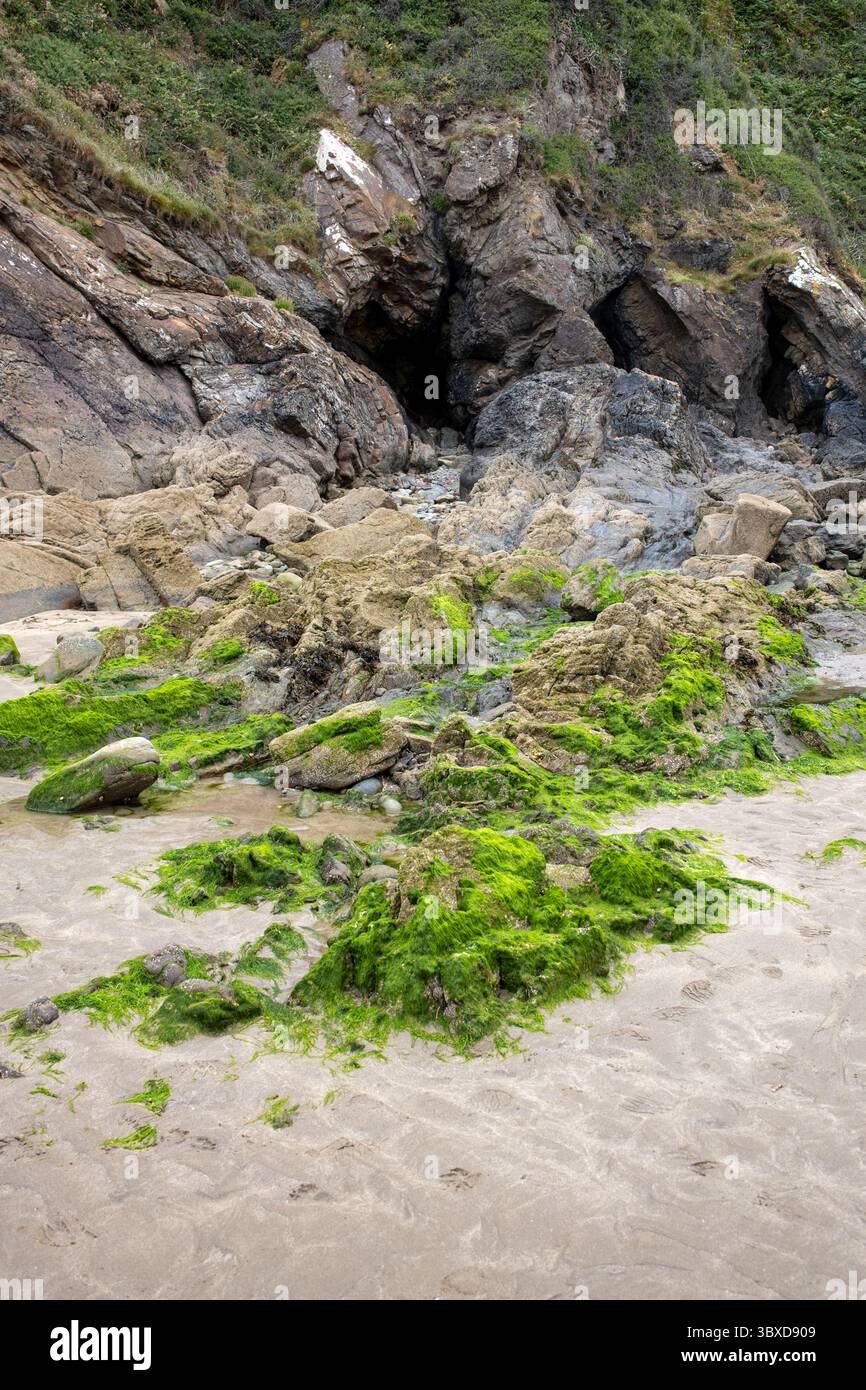 Rock Pools and Caves at Little Haven nel Pembrokeshire, Galles occidentale, Regno Unito Foto Stock