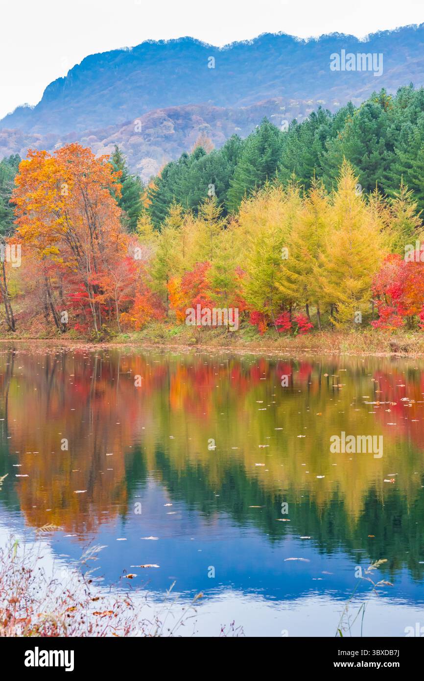 Alberi colorati che si riflettono nel lago in autunno nella zona turistica di Laobiangou nel Benxi, Cina Foto Stock