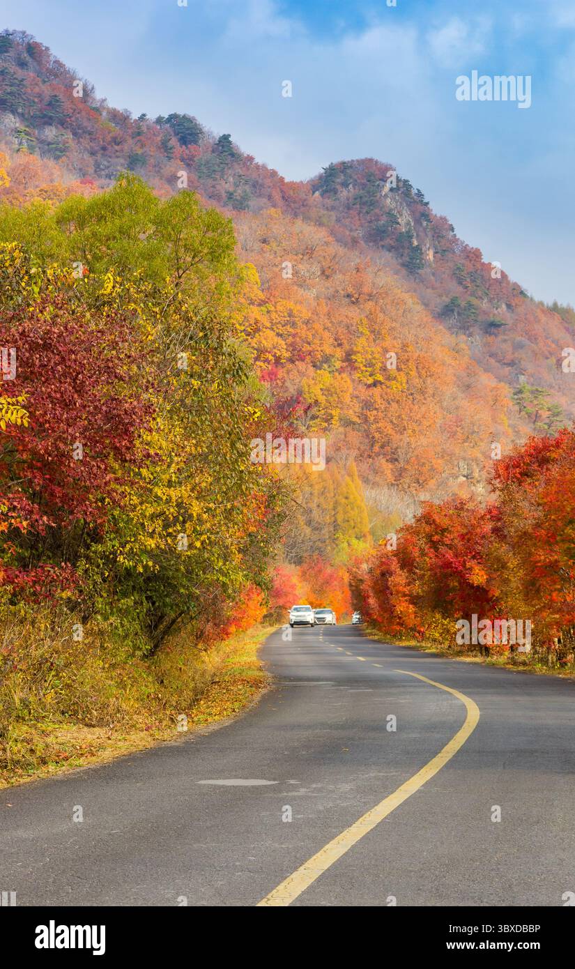 Auto che percorrono la strada attraverso il canyon di Laobiangou in autunno vicino a Benxi, in Cina Foto Stock