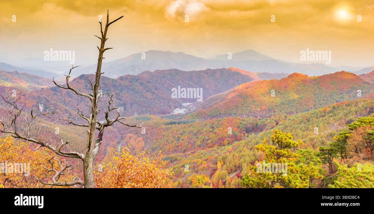 Panorama del tramonto su un albero morto nel canyon di Laobian vicino a Benxi, Cina Foto Stock