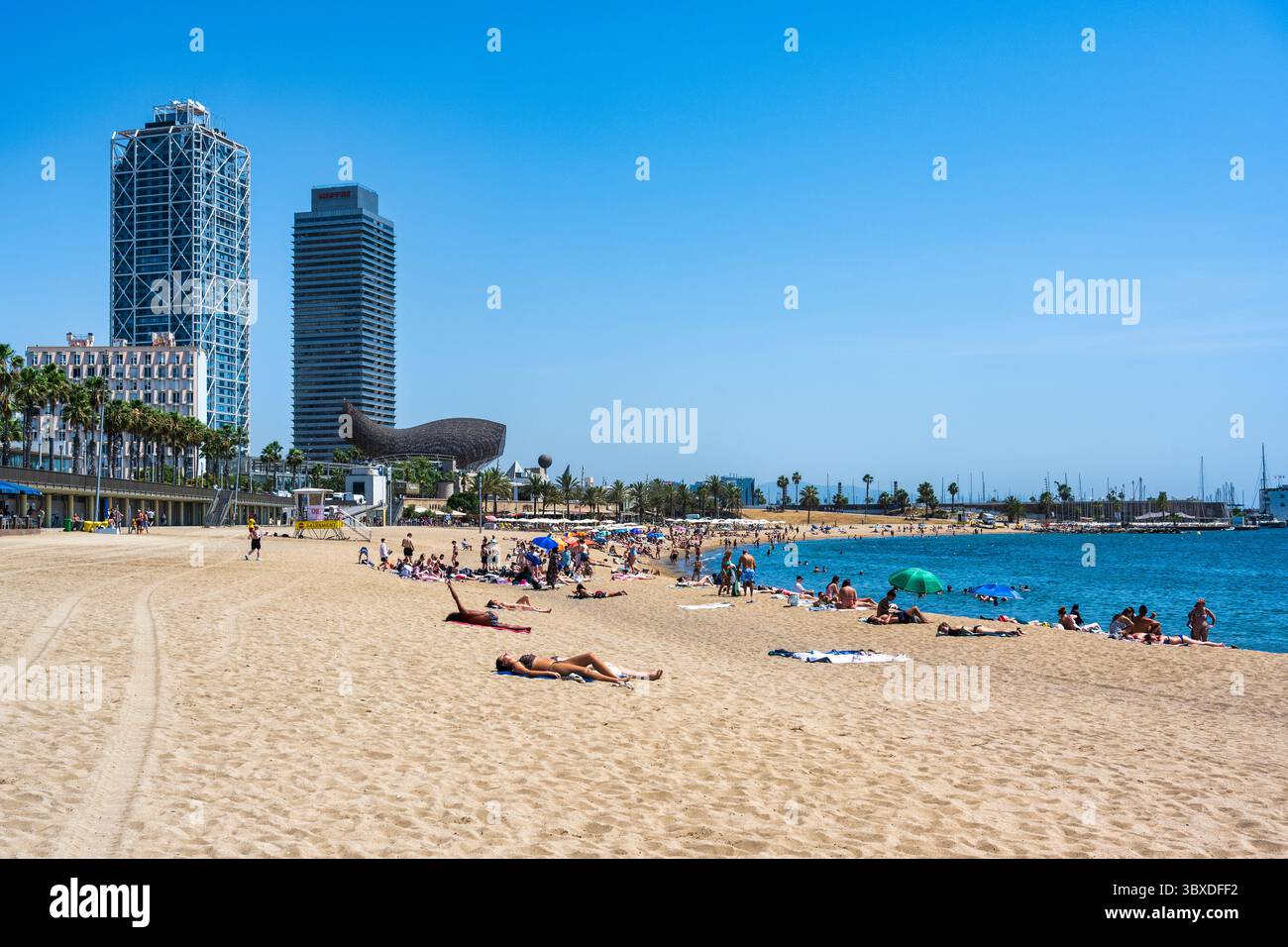 La spiaggia di Somorrostro si affaccia a nord-est verso Port Olímpic, nella città vecchia di Barcellona, nella regione spagnola della Catalogna Foto Stock