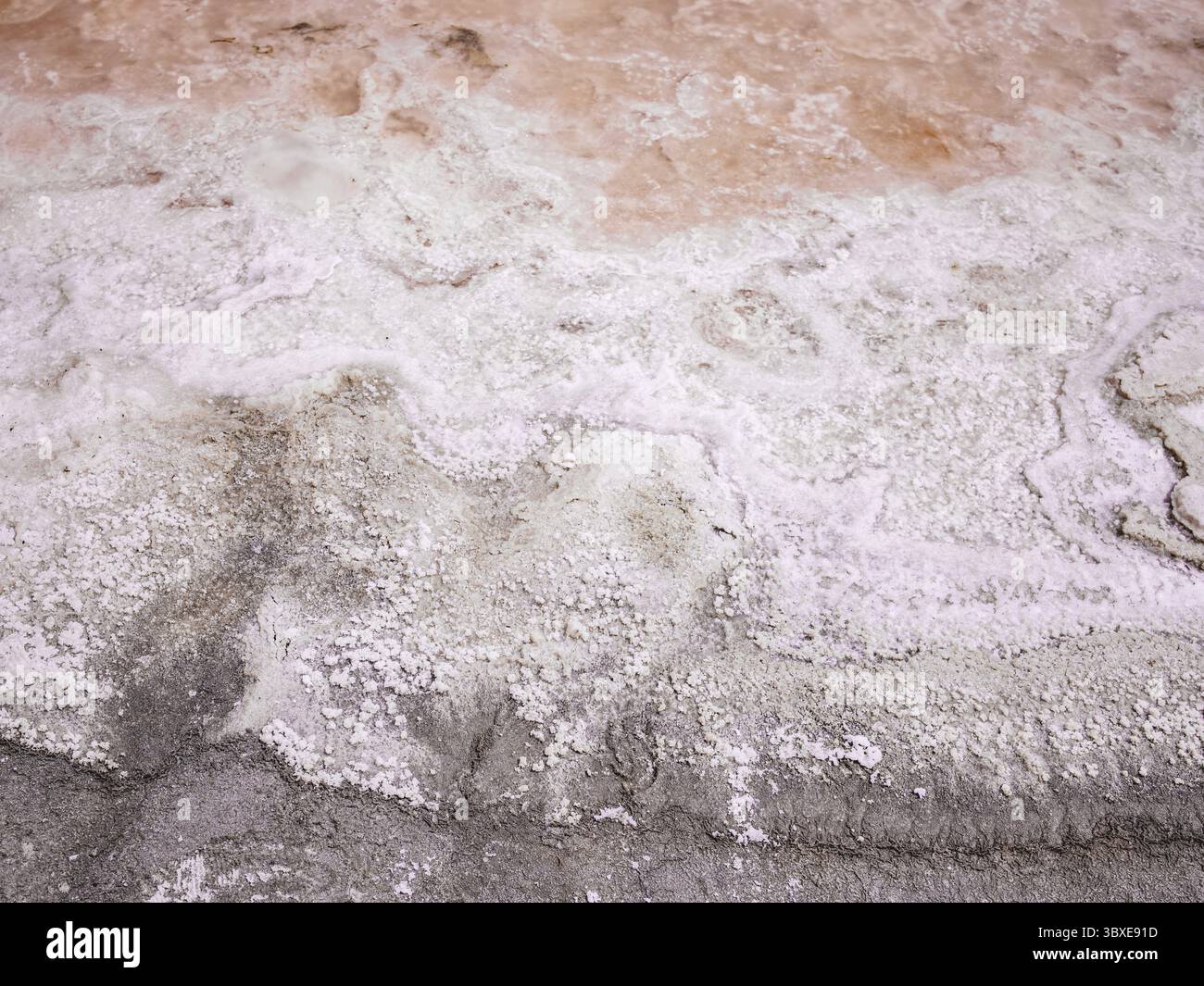 Salin-de-Giraud, Arles, Francia Foto Stock