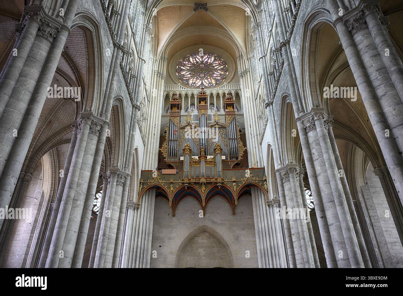 Vista interna, galleria ovest, organo principale, rosone, cattedrale Notre-Dame d'Amiens, Amiens, somme, Francia Foto Stock