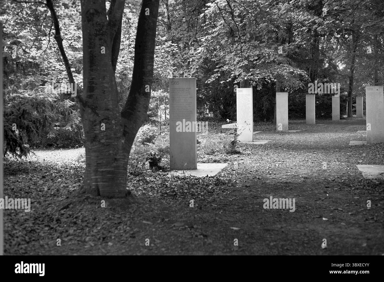 Stele al Memorial des Reporter, memoriale alla libertà di stampa, memoriale a giornalisti e fotografi uccisi in servizio, BL Foto Stock