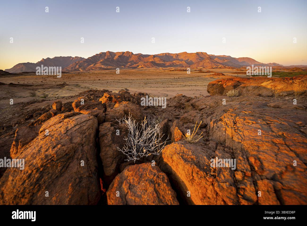 Paesaggio desertico con Brandberg alla luce del mattino, all'alba, Erongo, Damaraland, Namibia Foto Stock