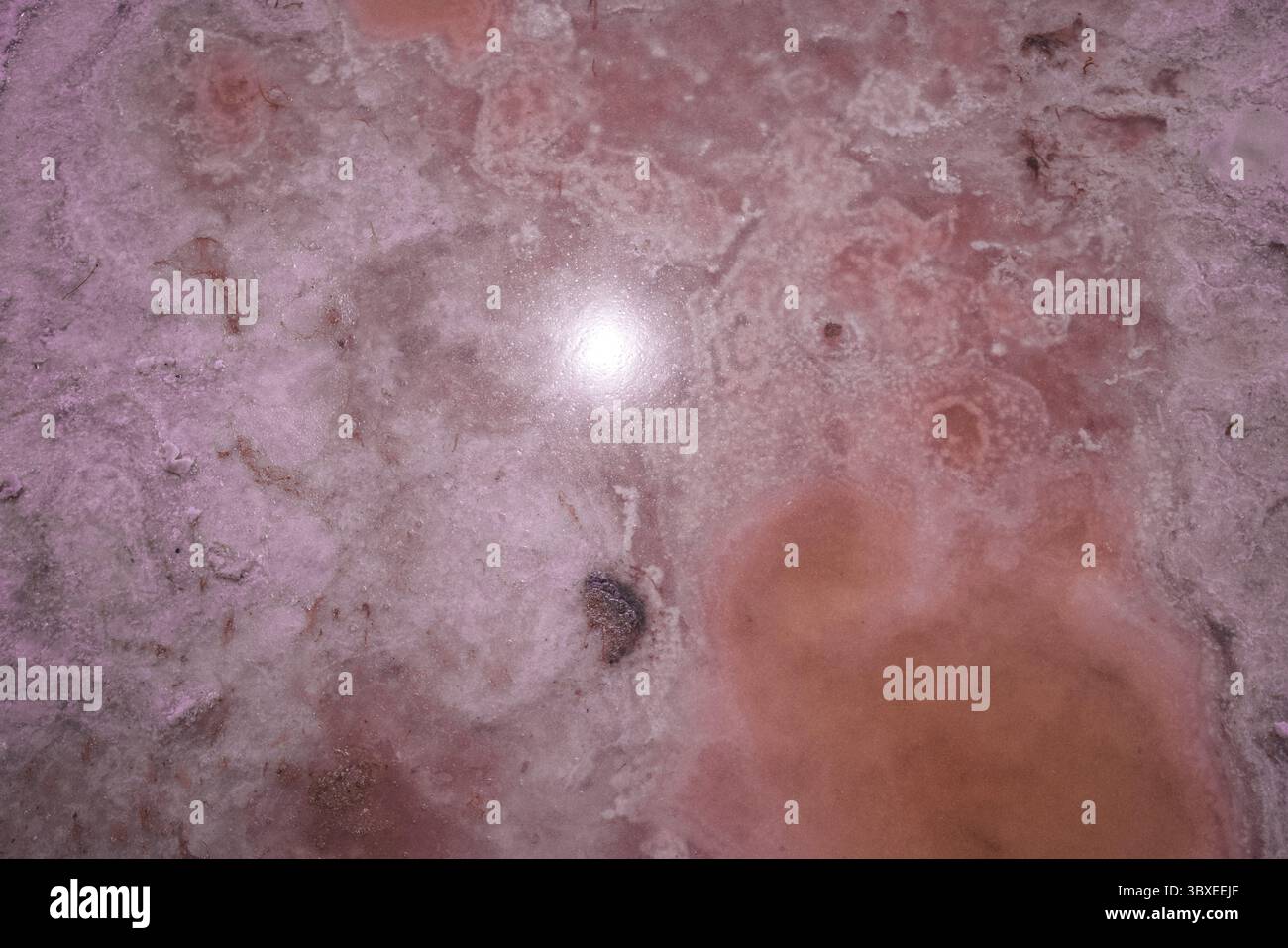 Salin-de-Giraud, Arles, Francia Foto Stock