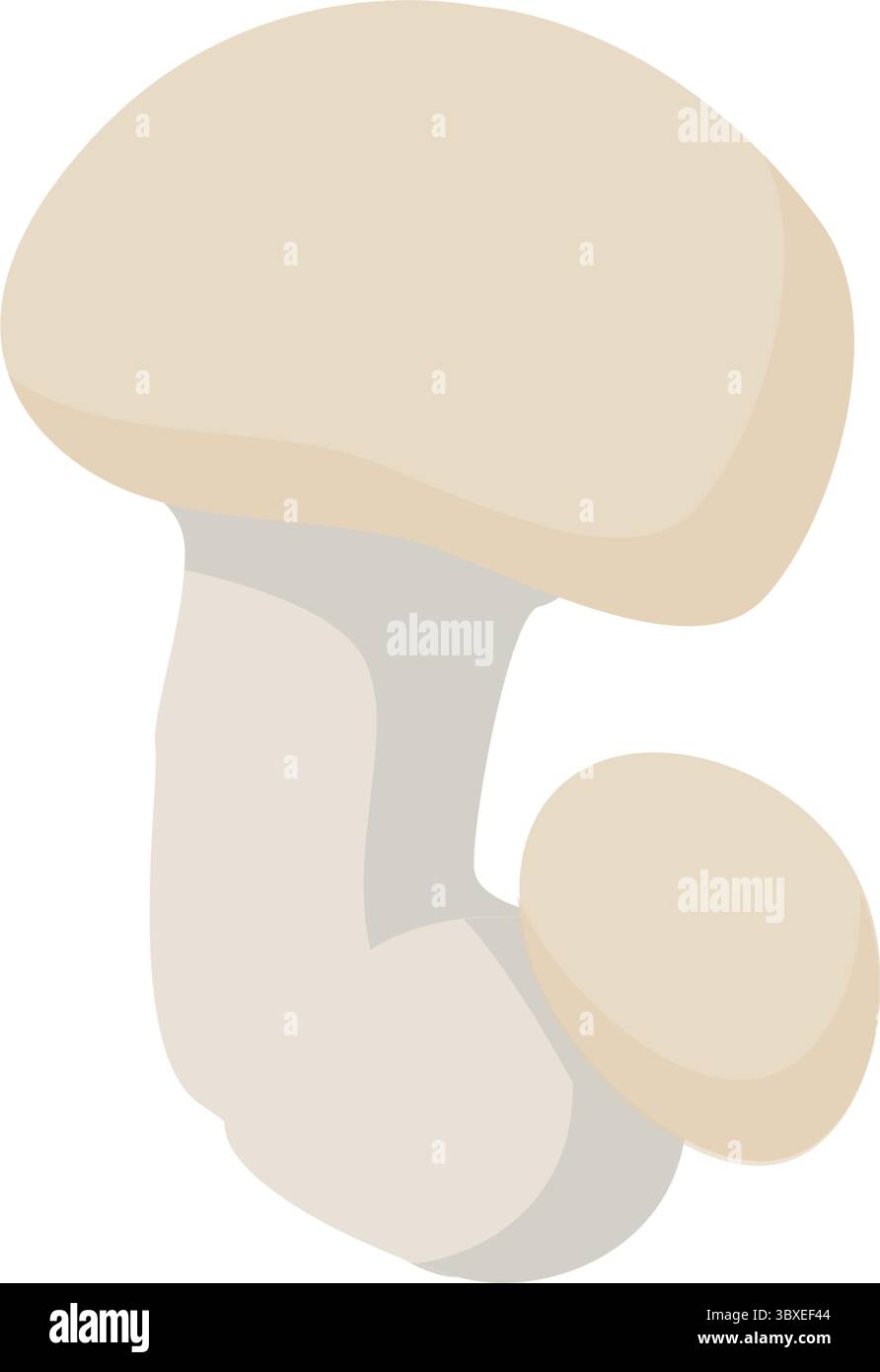 Illustrazione botanica dei funghi Champignon squisiti Illustrazione Vettoriale