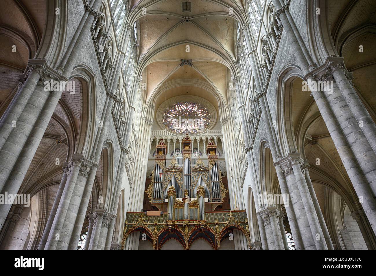 Vista interna, galleria ovest, organo principale, rosone, cattedrale Notre-Dame d'Amiens, Amiens, somme, Francia Foto Stock