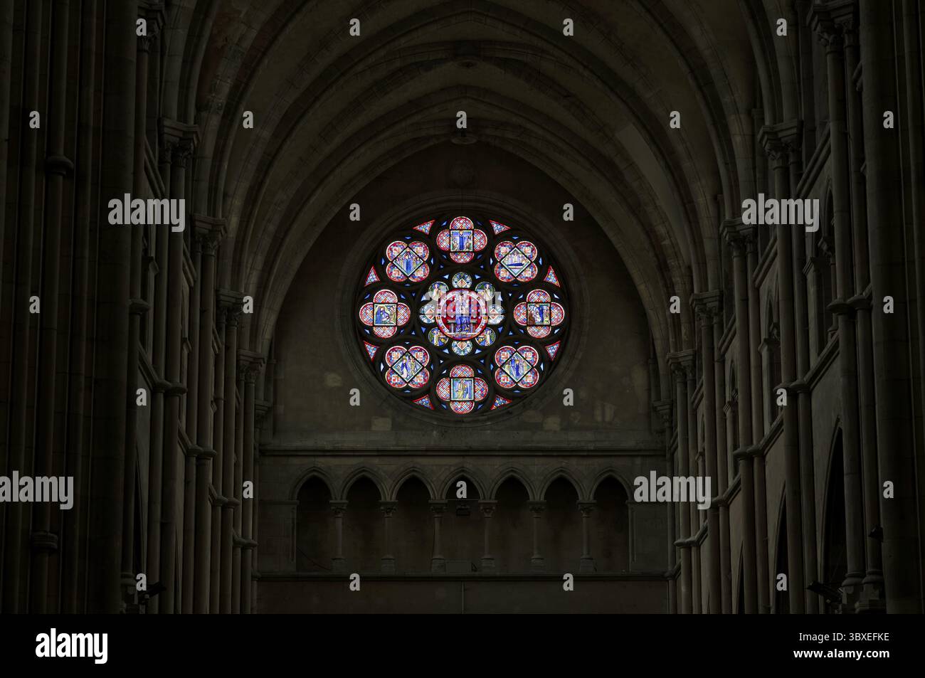 Rosa, vetrata colorata, coro con altare, vista interna, cattedrale di Notre-Dame, Epernay, champagne, Marne, Francia Foto Stock