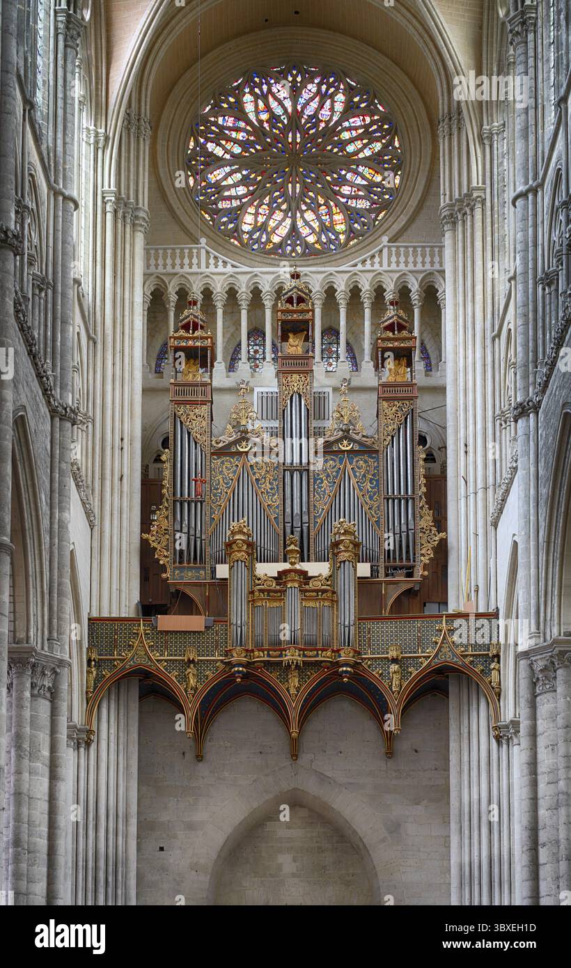 Vista interna, galleria ovest, organo principale, rosone, cattedrale Notre-Dame d'Amiens, Amiens, somme, Francia Foto Stock