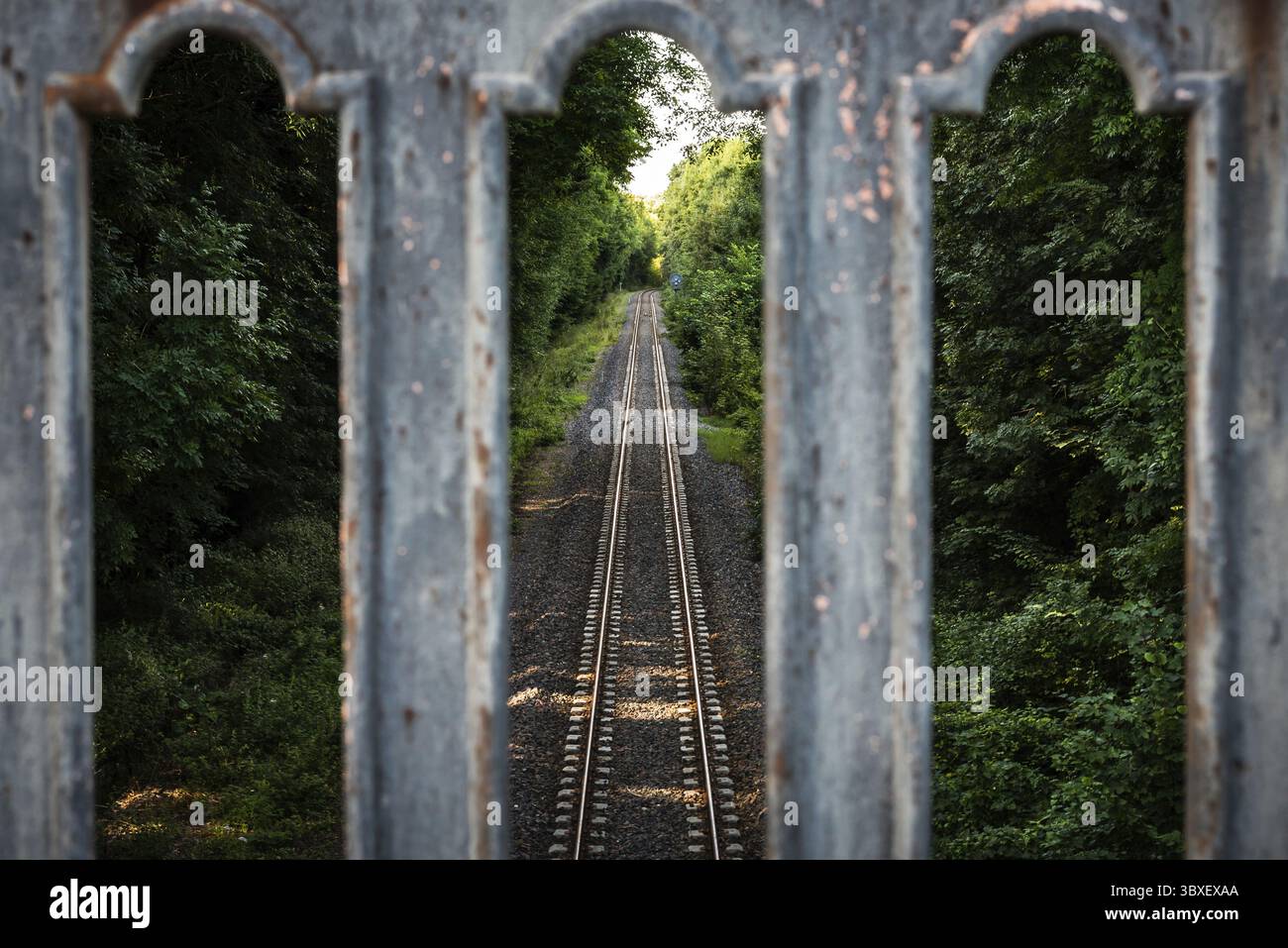 Ferrovia per la groenlandia in una foresta francese Foto Stock