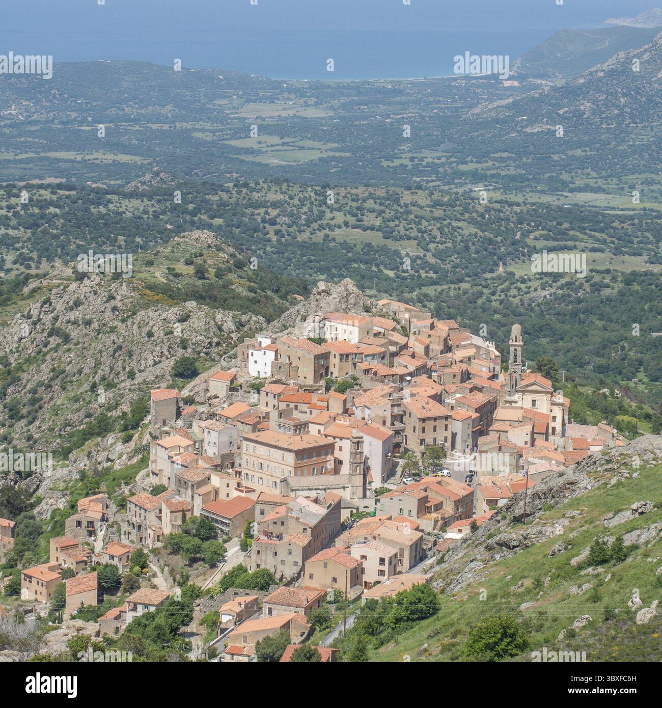 Porto dell'isola della bellezza in Corsica, Francia, francia Foto Stock