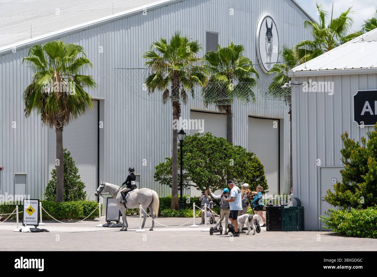 World Equestrian Center di Ocala, Florida. (USA) Foto Stock