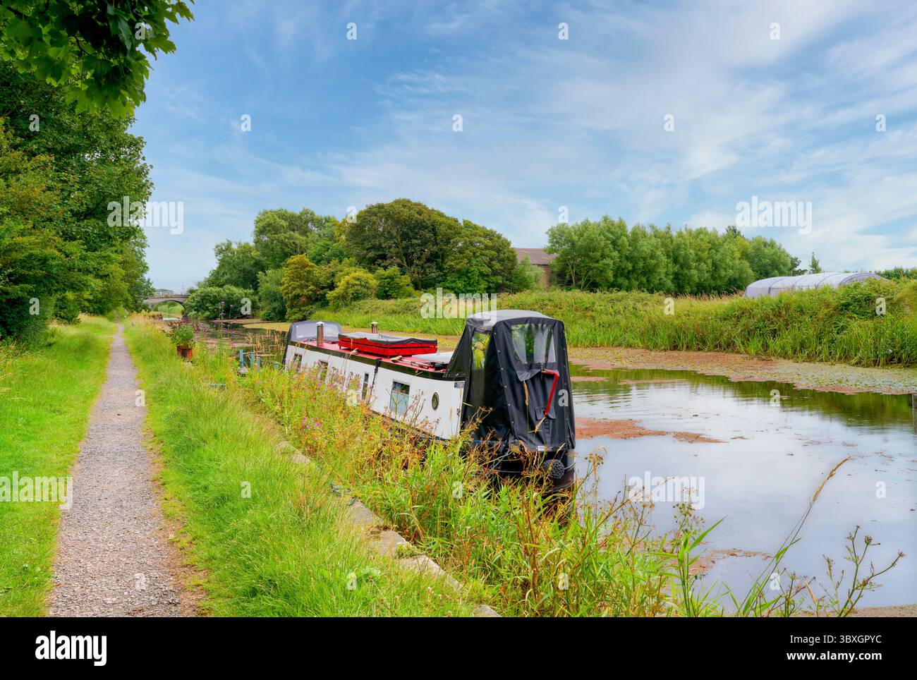 Una chiatta è ormeggiata sulla riva di un fiume Wyre alberato che si sta dirigendo, sotto un cielo blu, verso Glasson Dock vicino Lancaster, Lancashire, Regno Unito Foto Stock