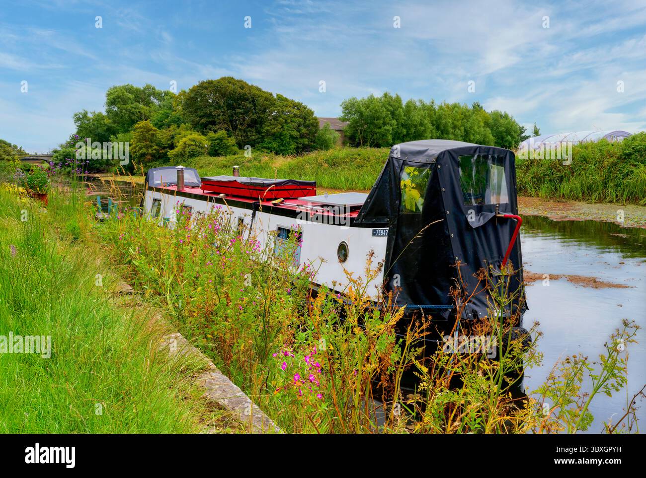 Una chiatta è ormeggiata sulla riva di un fiume Wyre alberato che si sta dirigendo, sotto un cielo blu, verso Glasson Dock vicino Lancaster, Lancashire, Regno Unito Foto Stock