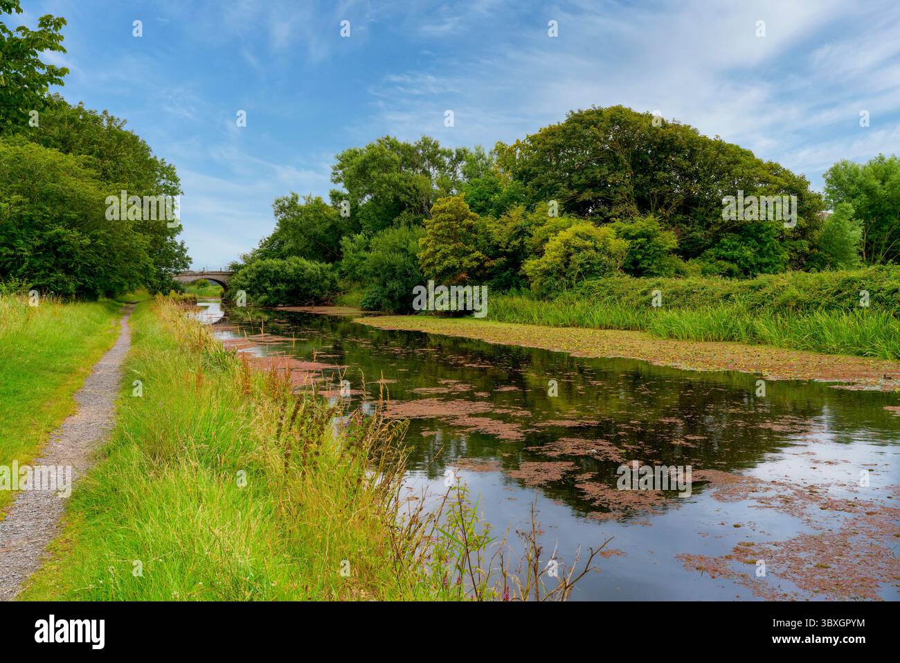 Una scena tranquilla come un fiume alberato Wyre si fa strada, sotto un cielo blu, nel Glasson Dock vicino a Lancaster, Lancashire, Regno Unito Foto Stock