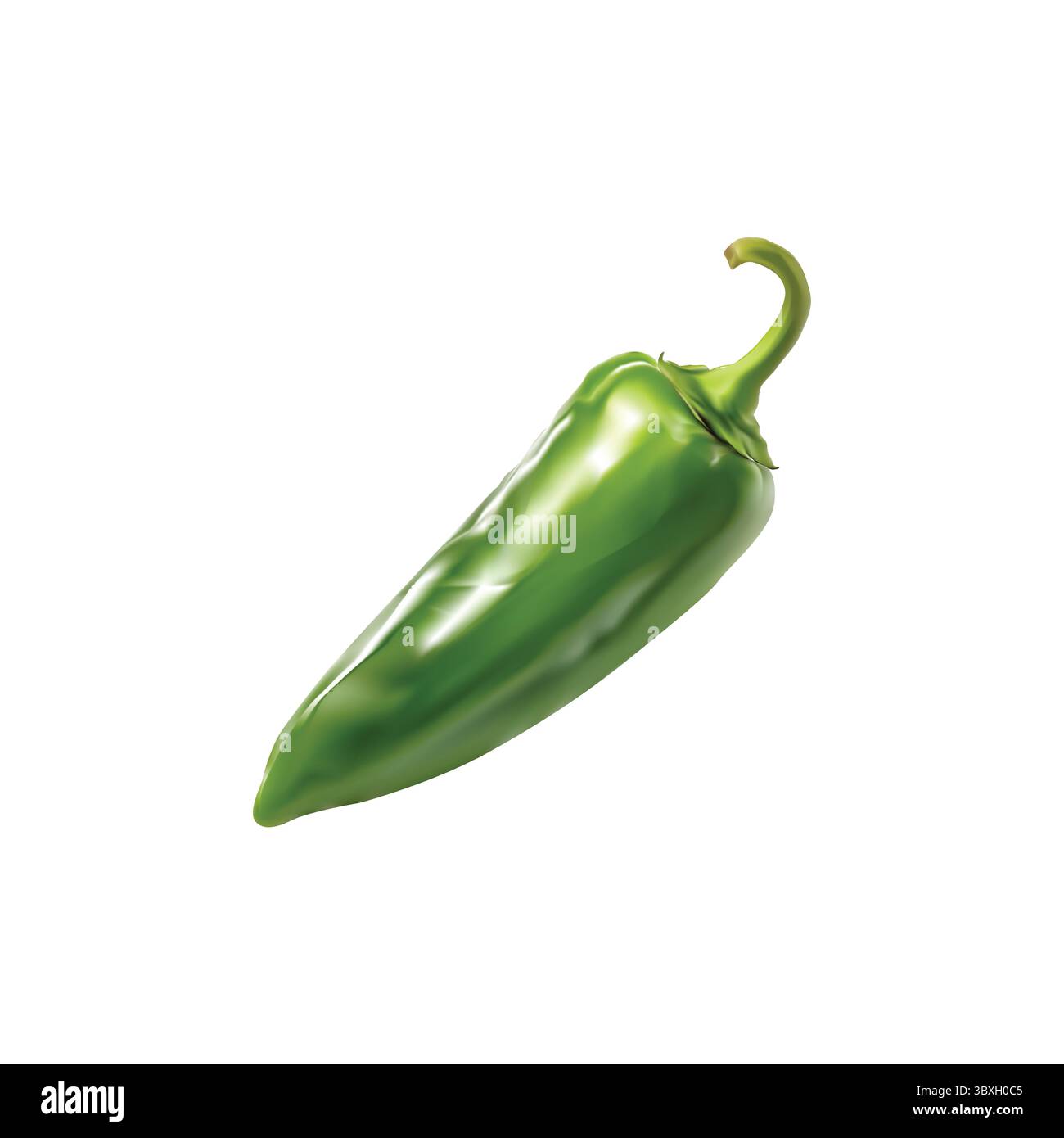 Illustrazione peperoncino verde su sfondo bianco Vol 01 Illustrazione Vettoriale