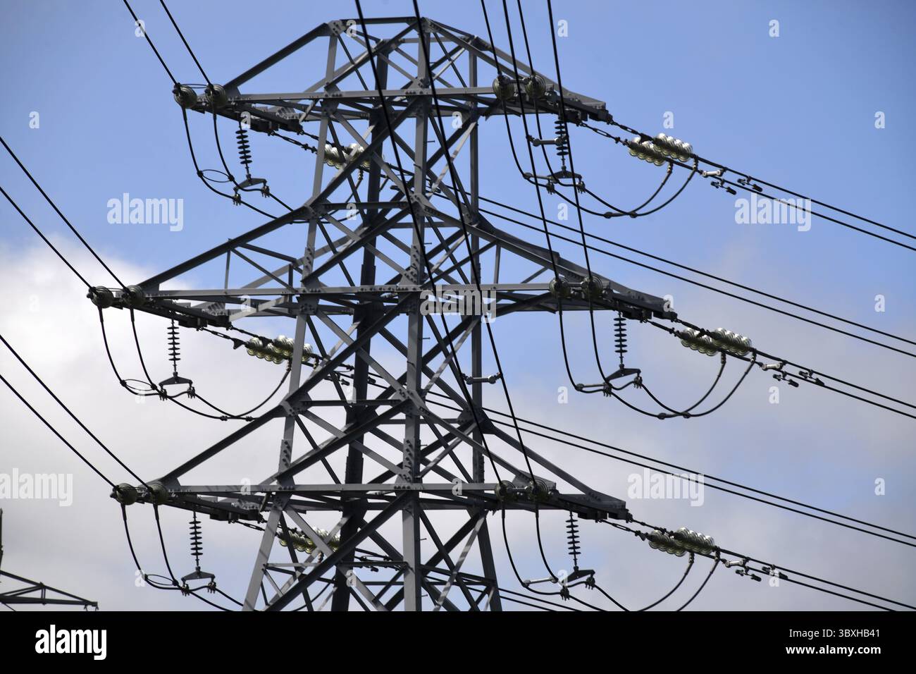 Fili e tralicci elettrici ad alta tensione a Christchurch, nuova Zelanda Foto Stock